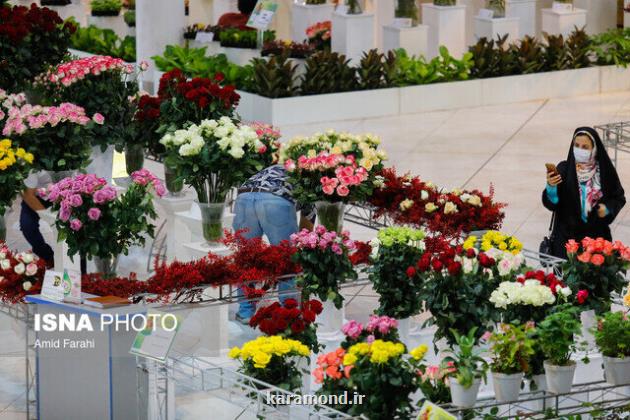 نمایشگاه گل محلات ۲۵ تا ۲۸ خردادماه برگزار می گردد